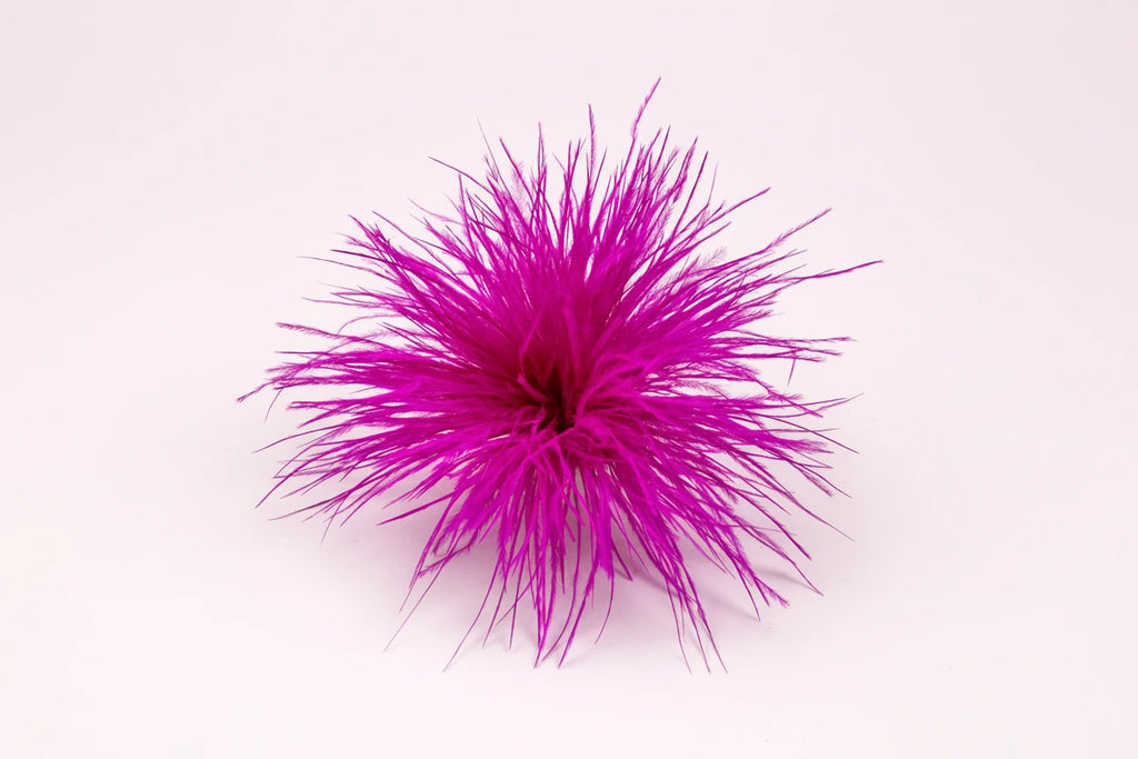 Broche de pluma llamativo