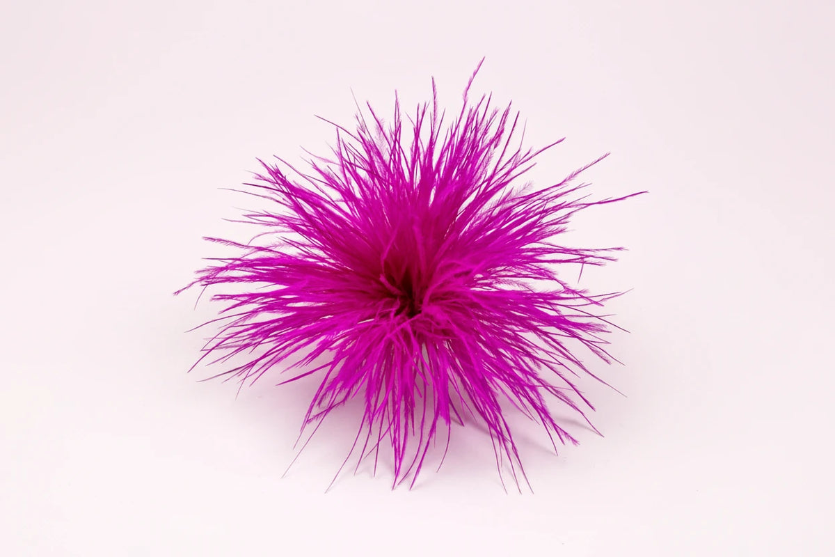 Broche de pluma llamativo