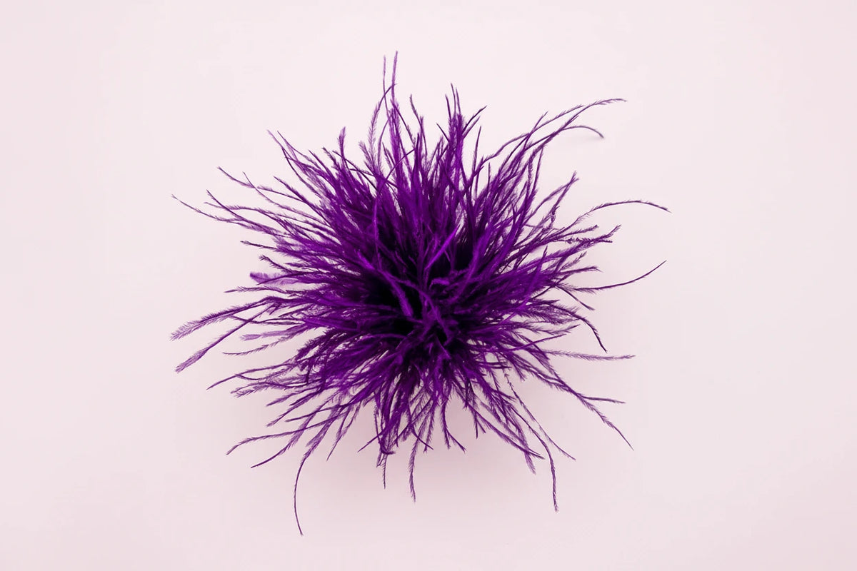 Broche de pluma llamativo